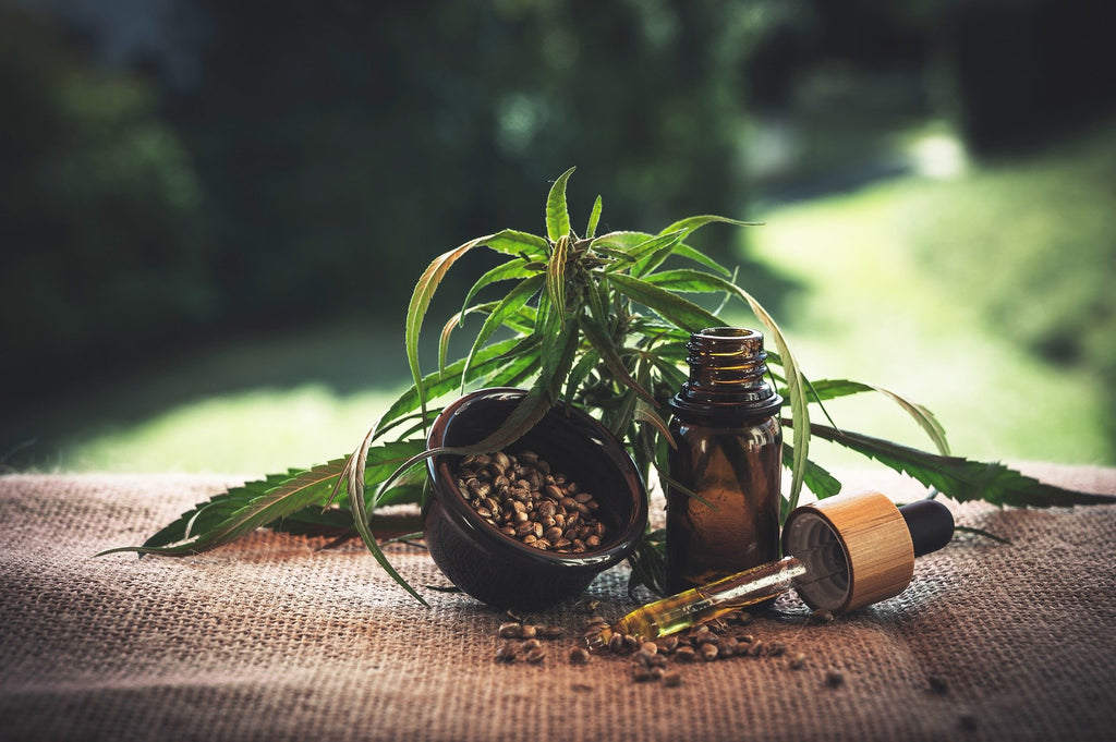 Tout savoir sur le cannabis CBD